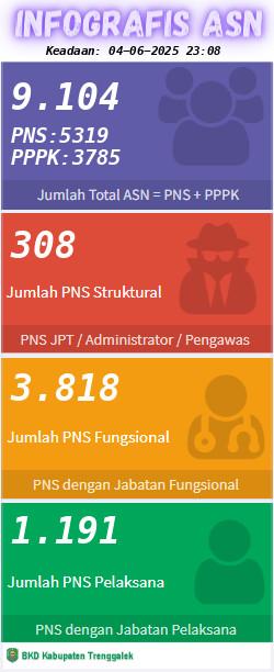 Infografis ASN